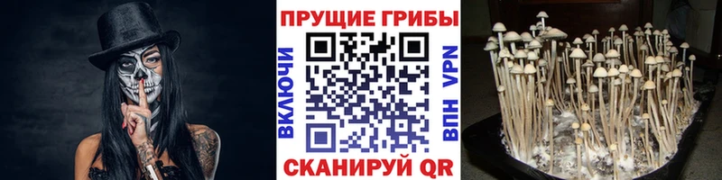 блэк спрут ONION  Пыть-Ях  Галлюциногенные грибы GOLDEN TEACHER 